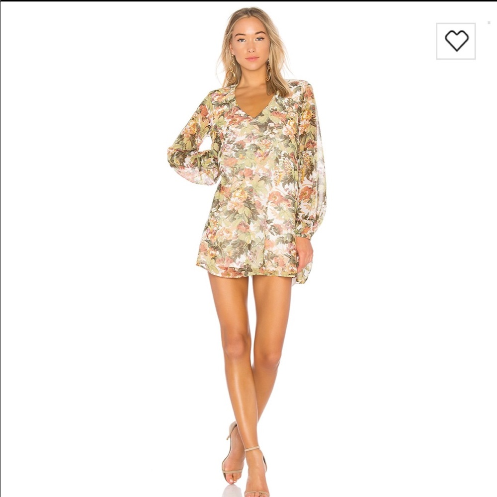 Show Me Your Mumu Donnie Dress